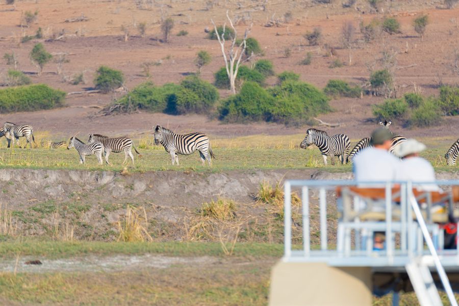 River boat deck on the Chobe River with zebras on the bank